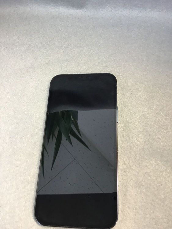 ���ʡ������ǡ�SIM�ե꡼��iPhone12Pro 256GB �֥롼��