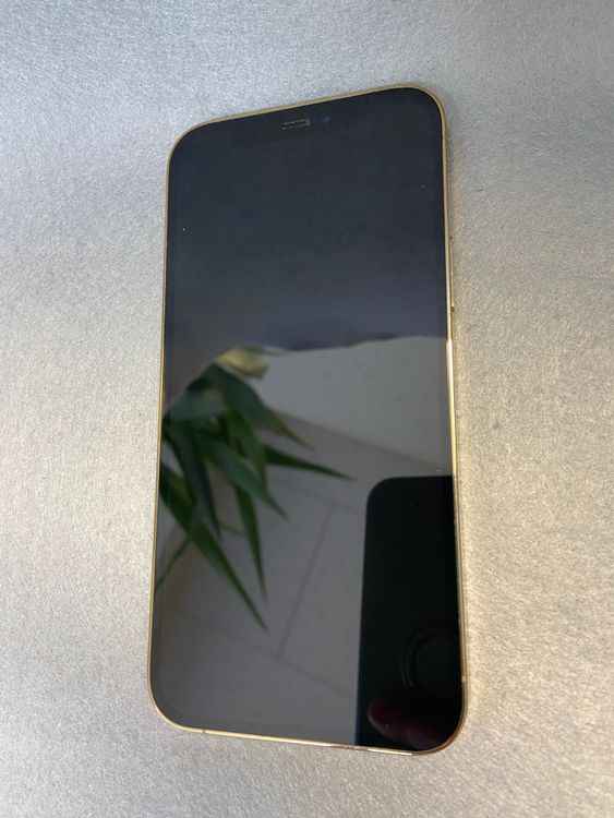 Ķ���� ������ SIM�ե꡼ iPhone12 Pro 256GB ������ɿ�