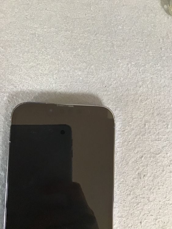šǡSIMե꡼iPhone13 Pro 256GB ֥롼