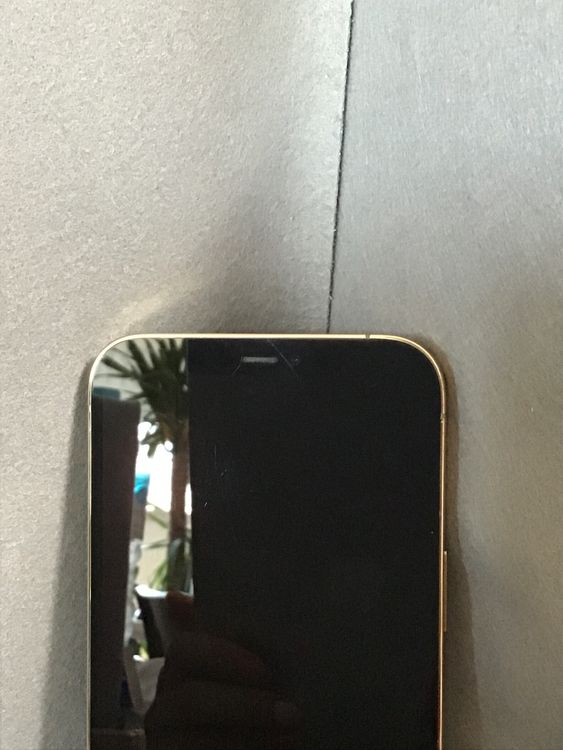 ʡǡSIMե꡼iPhone12  Pro Max 256GB ɿ