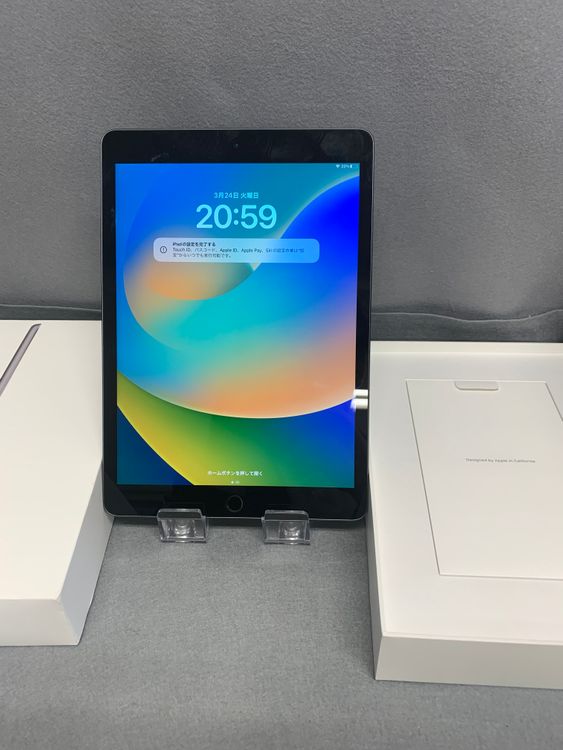 ���ʡ������ǡ�Wi-Fi�ǡ�iPad ��9���塡64GB �����ڡ������쥤��