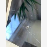 �������  iPad ��6���� 32GB Wi-Fi�� ������ɿ�