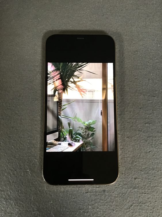 ʡǡSIMե꡼iPhone12  Pro Max  128GB ɿ
