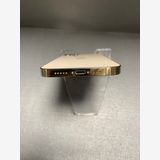 ���� ������ SIM�ե꡼ iPhone12 Pro 256GB ������ɿ�