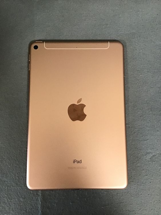 ʡWi-FicellularǡiPad mini 5塡 64GB ɿ