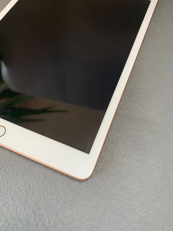  SIMե꡼ iPad 8 Wi-Fi + Cellularǥ 32GB ɿ