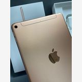  SIMե꡼ iPad mini 5 64GB Wi-Fi+Cellular