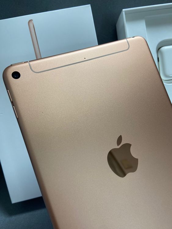  SIMե꡼ iPad mini 5 64GB Wi-Fi+Cellular