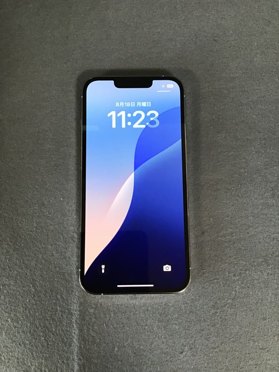 ̤ۤѡAppleȥǡSIMե꡼iPhone13  Pro  256GB С