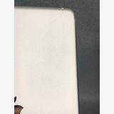 �����  iPad mini ��4���� 128GB Wi-Fi�� ����С���