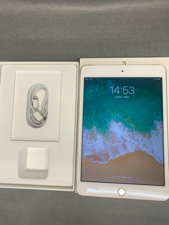 ���� SIM�ե꡼ iPad mini ��4����  16GB Wi-Fi+Cellular��
