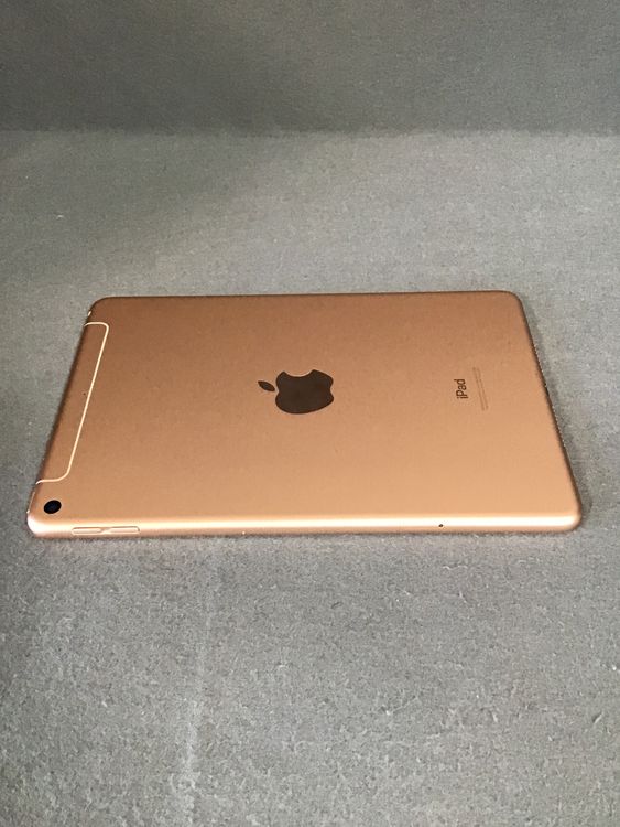 ʡWi-FicellularǡiPad mini 5塡 64GB ɿ