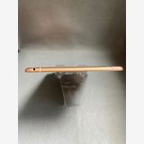  SIMե꡼ iPad mini 5 64GB Wi-Fi+Cellular