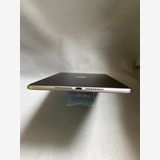  SIMե꡼ iPad mini 5 256GB Wi-Fi+Cellular