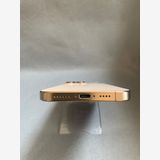  Appleȥ SIMե꡼ iPhone16 Pro Max 256GB