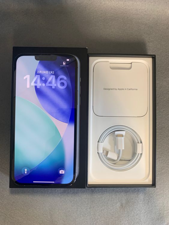 Ķ���ʡ������ǡ�SIM�ե꡼��iPhone13 Pro Max 256GB ������֥롼��