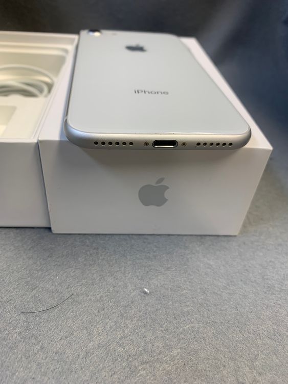 ���ʡ������ǡ�SIM�ե꡼��iPhone8��64GB �ۥ磻�ȿ�