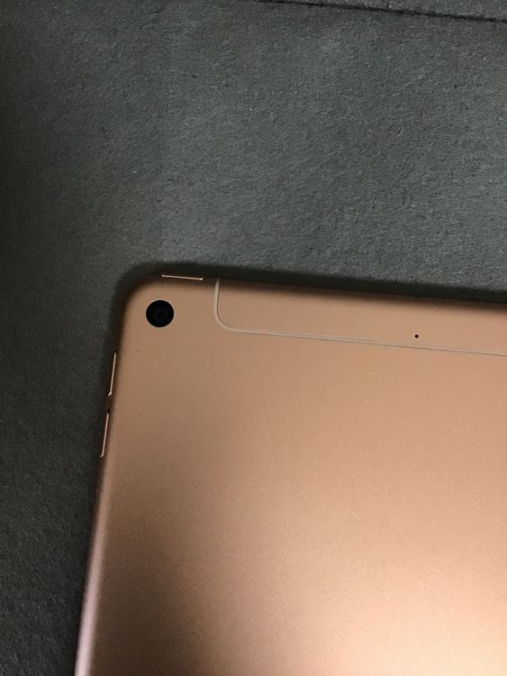ʡWi-FicellularǡiPad mini 5塡 64GB ɿ