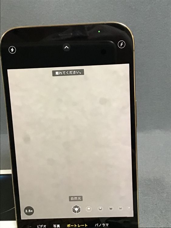 ʡǡSIMե꡼iPhone12  Pro Max  256GB ɿ