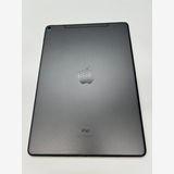iPad Air3/2019 cellularǥ 256GB ڡ쥤