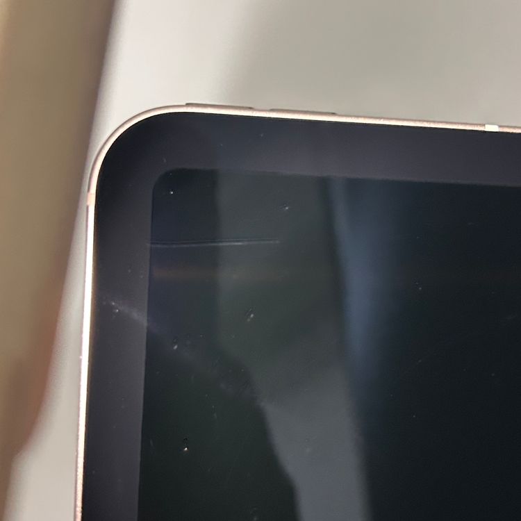 iPad mini ��7���� Cellular 128GB �������饤�� BT90%�ʾ�