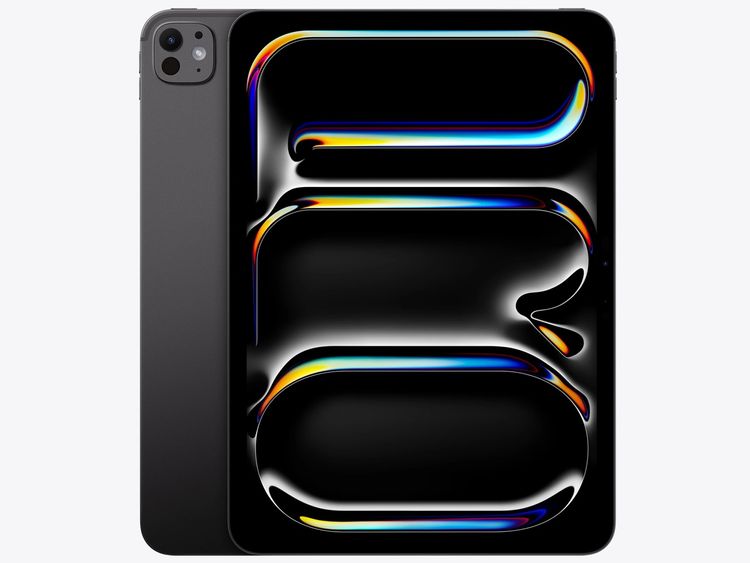 ̤ iPad Pro 11 M5å 256GB ڡ֥å Wi-Fiǥ