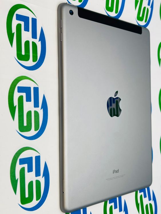 iPad��5���� Cellular 128GB ���ڡ������쥤