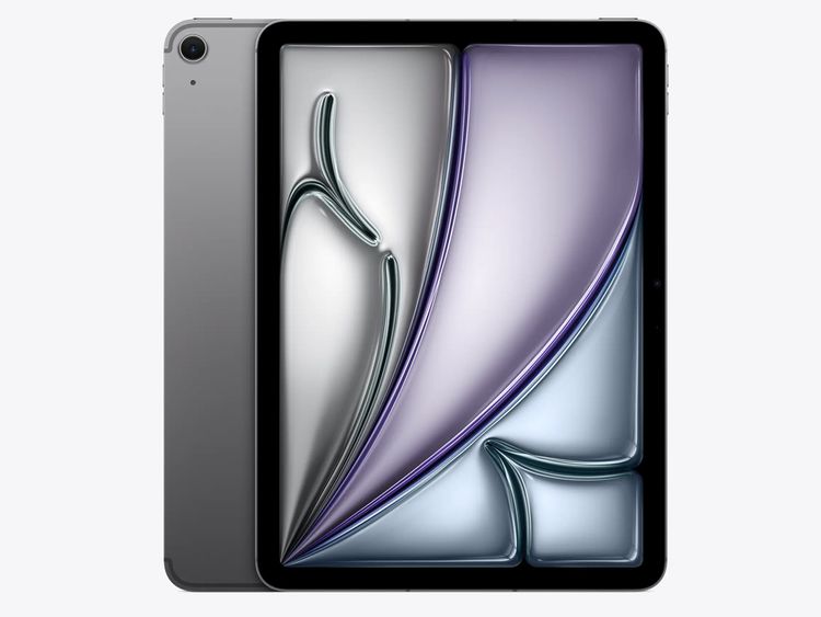 ���� 11����� iPad Air ��7���� Cellular 128GB ���ڡ������쥤