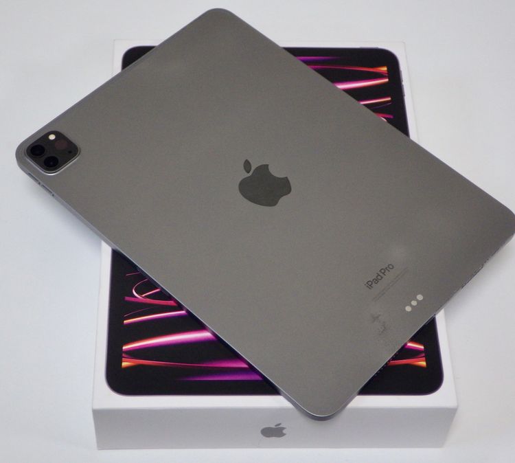 iPad Pro 11���������4�����128GB Wi-Fi��ǥ롡���쥤 ����̵��