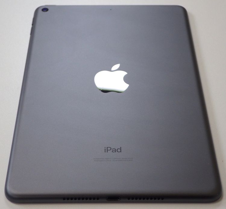 iPad mini 5  64GB Wi-Fi��ǥ� ����100% ���쥤 ����̵��