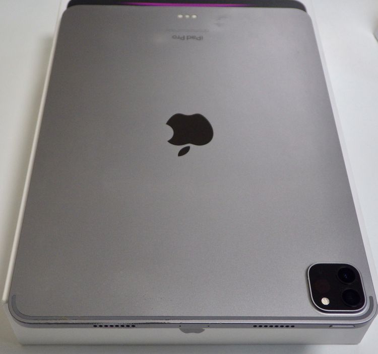 iPad Pro 11���������4�����128GB Wi-Fi��ǥ롡���쥤 ����̵��