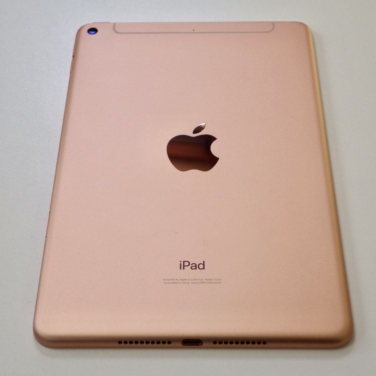 SIM�ե꡼ iPad mini 5  64GB Wi-Fi + Cellular  ����̵��
