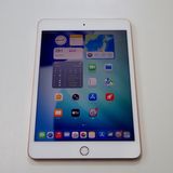 SIM�ե꡼ iPad mini 5  64GB Wi-Fi + Cellular  ����̵��