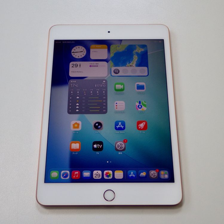 SIM�ե꡼ iPad mini 5  64GB Wi-Fi + Cellular  ����̵��