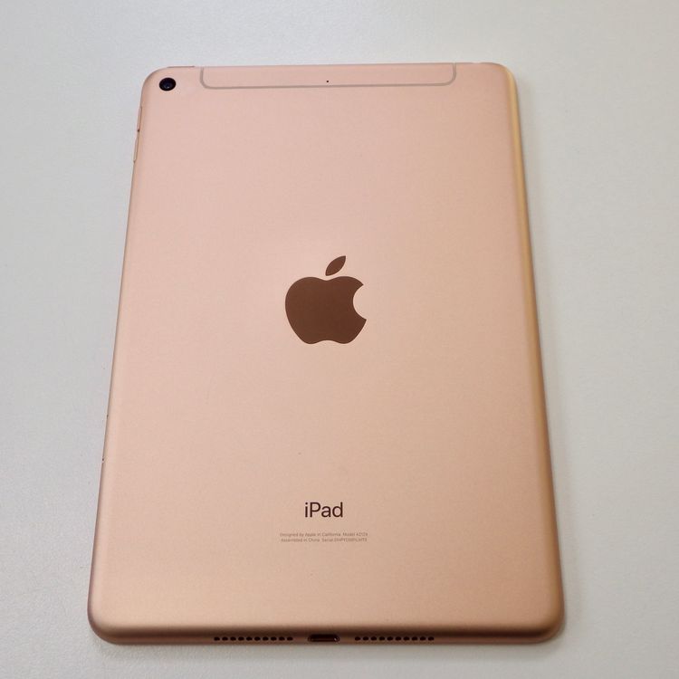 SIM�ե꡼ iPad mini 5  64GB Wi-Fi + Cellular  ����̵��