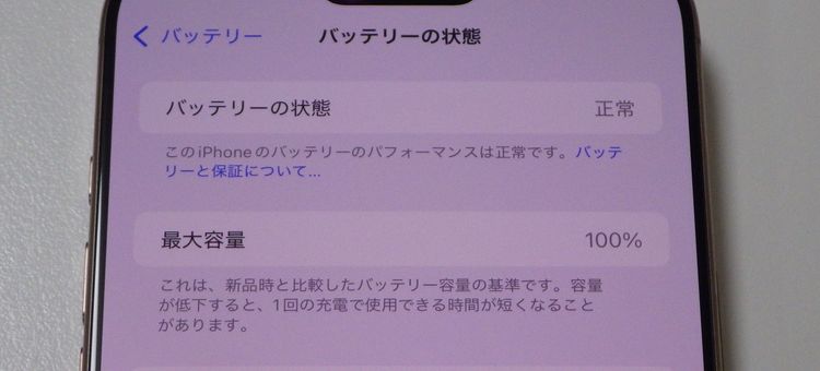 SIMե꡼ iPhone16 Pro Max 256GB 100% ǥȥ˥