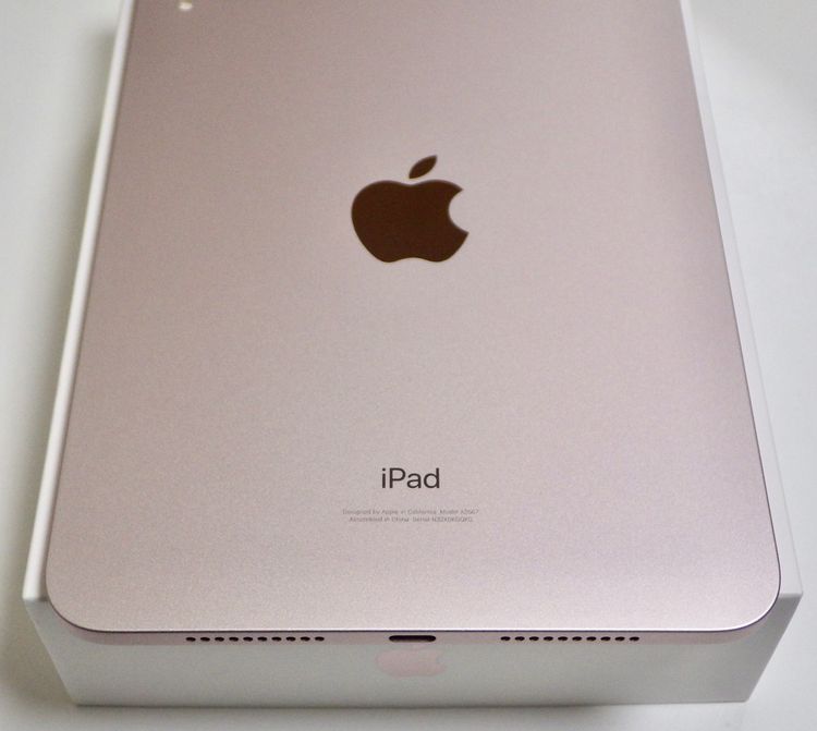 Ʊ iPad mini 6 64GB Wi-Fiǥ ̵