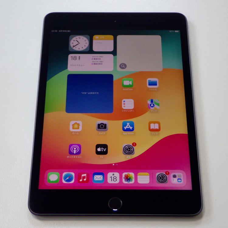 iPad mini 5  64GB Wi-Fi��ǥ� ����100% ���쥤 ����̵��
