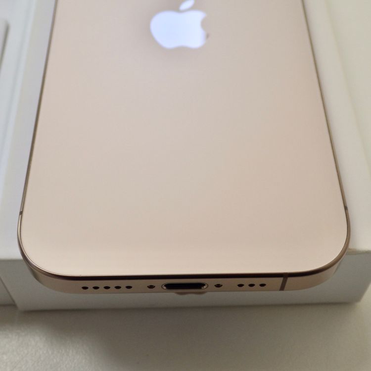 SIMե꡼ iPhone16 Pro 256GB 95% ǥȥ˥