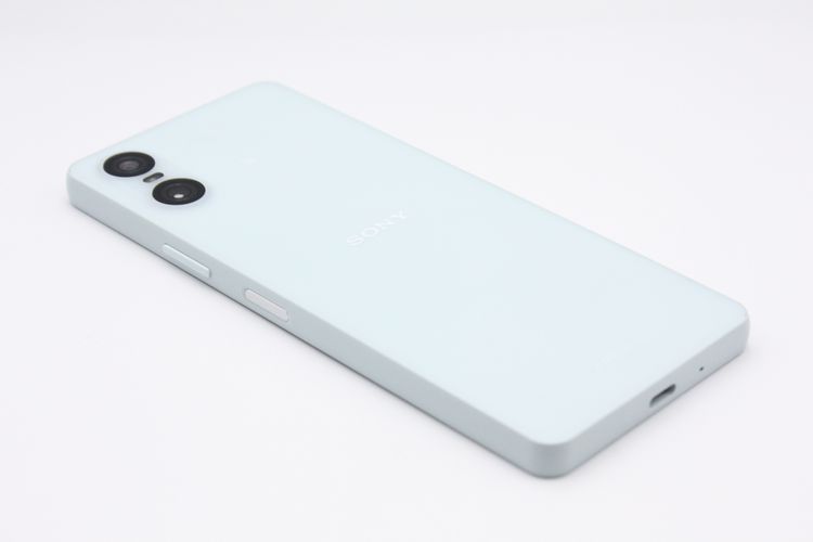 Xperia 10 VI SOG14 au��SIM�ե꡼ �֥롼 C���