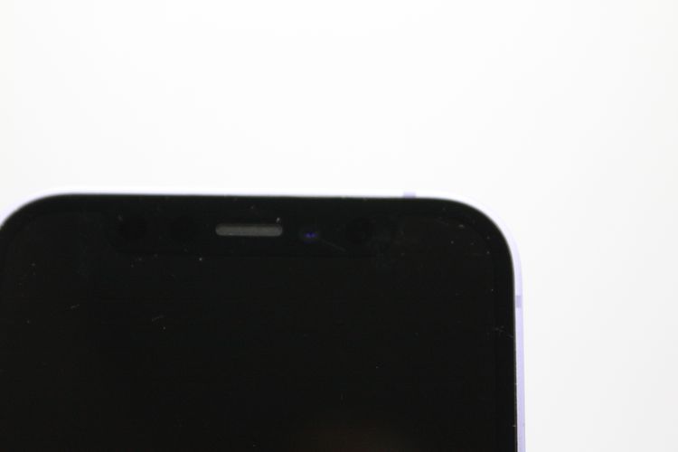 �������ò� �Хåƥ꡼����Ʊ��(100%) iPhone 12 mini 64GB