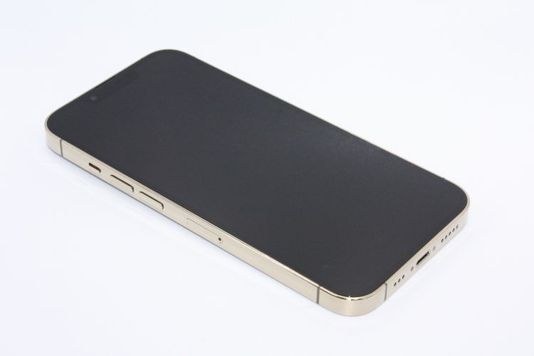 �������ò� �Хåƥ꡼�����ɹ�(100��) iPhone13Pro 128GB ������� C���