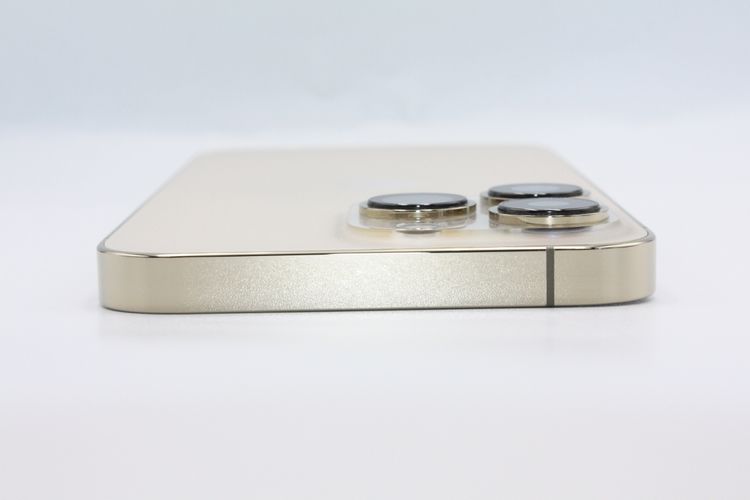 �������ò� �Хåƥ꡼�����ɹ�(100��) iPhone13Pro 128GB ������� C���