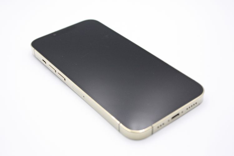 �������ò� �Хåƥ꡼�����ɹ�(100%) iPhone 13 Pro 128GB SIM�ե꡼