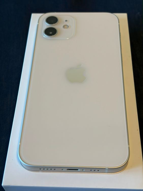 ĶʡiPhone12 128GB ۥ磻 Apple Simե꡼ ̵
