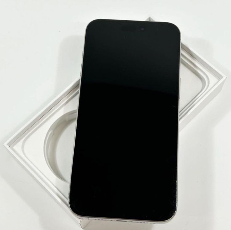 ڥǥ奢SIMե꡼iPhone 15 Pro Max 1024 GB Хåƥ꡼87