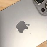 ʡ[89%] iPhone 15 Pro Max256gbSIMե꡼