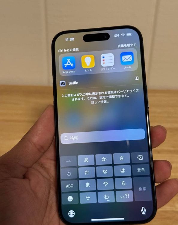 ʡiPhone 15 Pro256gbSIMե꡼