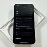 ڥǥ奢SIMiPhone 15 Pro Max1TBSIMե꡼