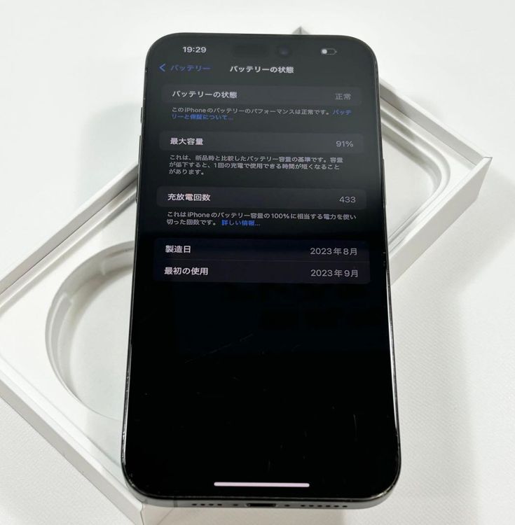 ں91%iPhone 15 Pro Max1024gbSIMե꡼